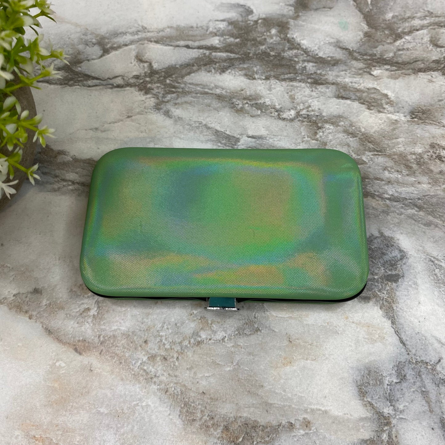 Manicure Nail Case & Set - Solid Holographic