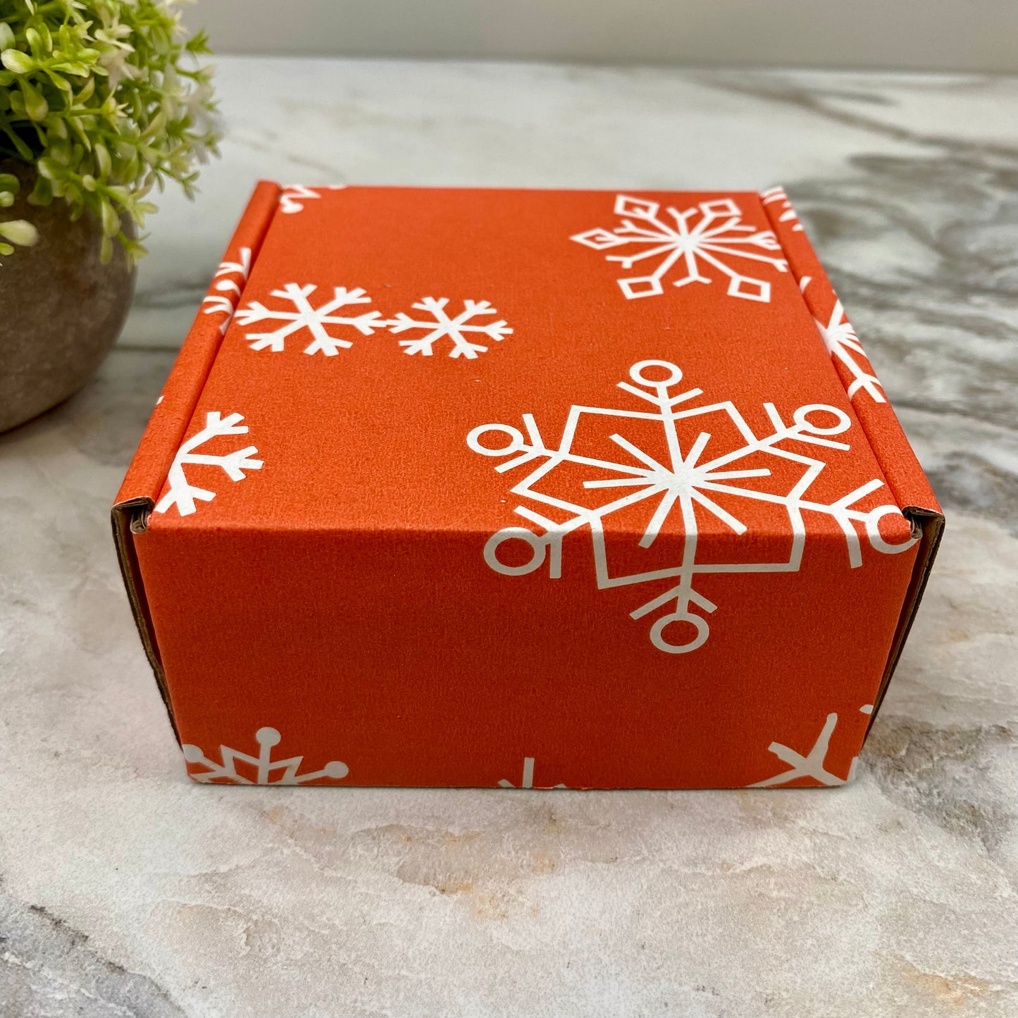 Christmas Gift Box with Crinkle Paper - Extra Small